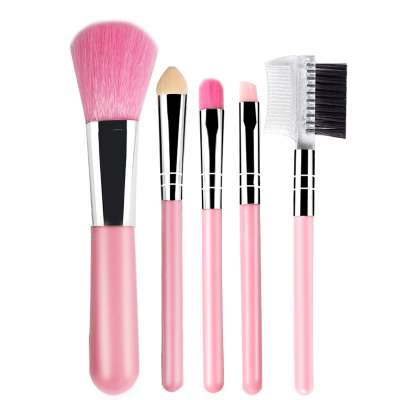 5 pcs Mini  makeup brush set blue and pink wholesale in stock factory direct sale With Multifunction Makeup Brush